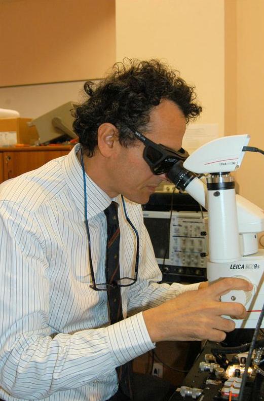 DIIES laboratori