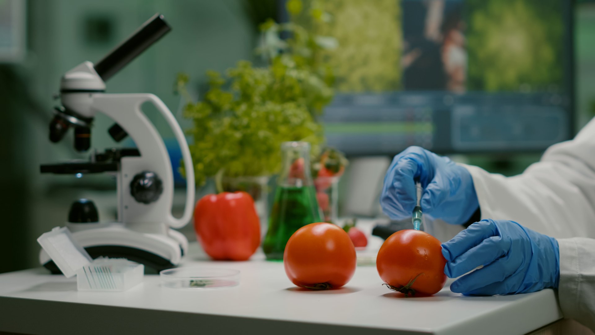 Laboratori Agraria