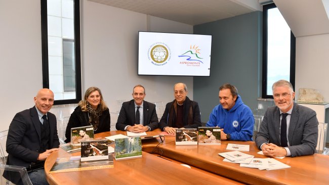 Accordo Unirc Parco d'Aspromonte