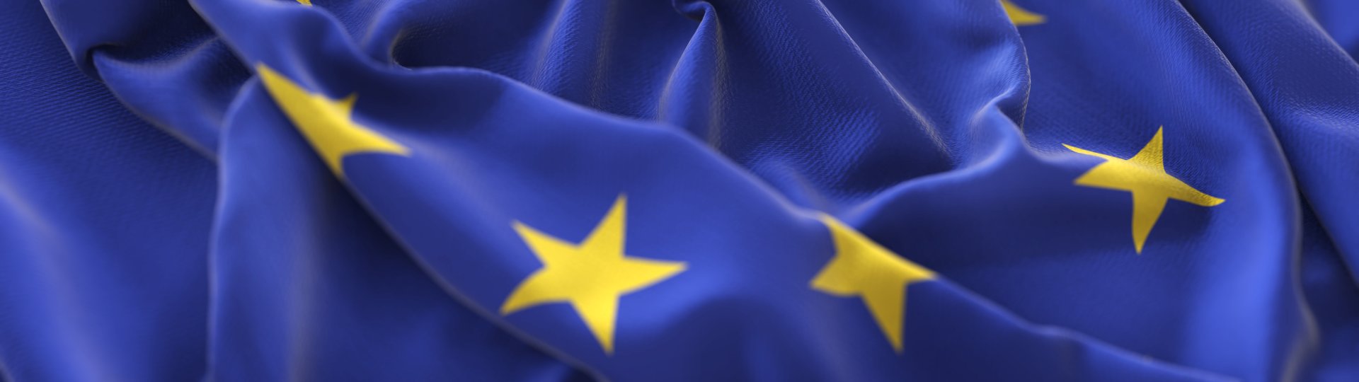 Bandiera UE