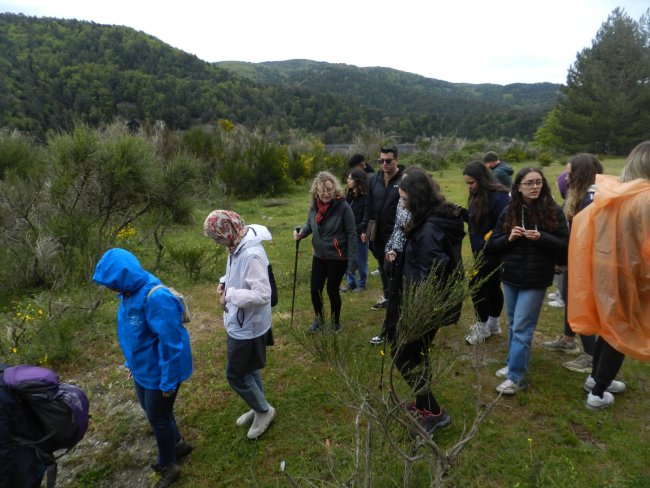 BIP Nature-Driven- Design
