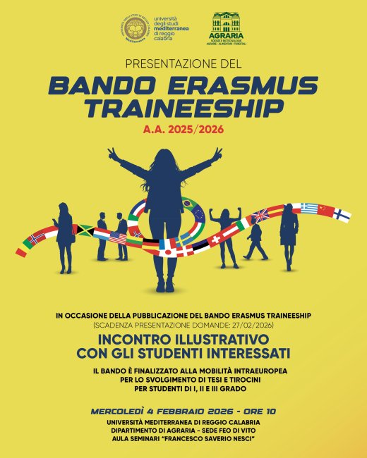 Erasmus Traineeship