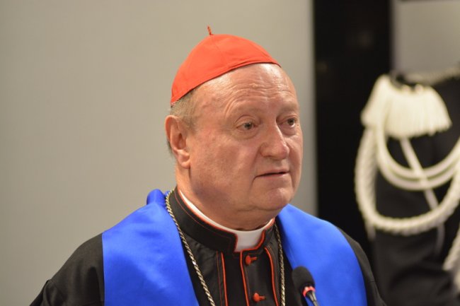 Laurea Honoris Causa Ravasi