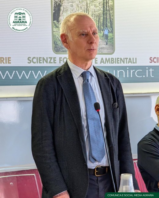 Foreste: un patrimonio da conoscere e valorizzare