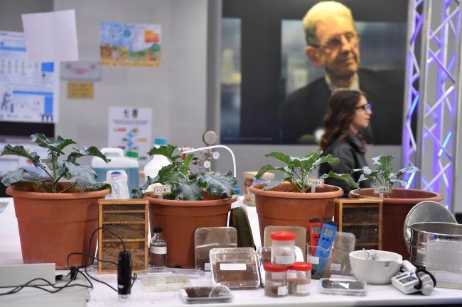 Open Day della Mediterranea