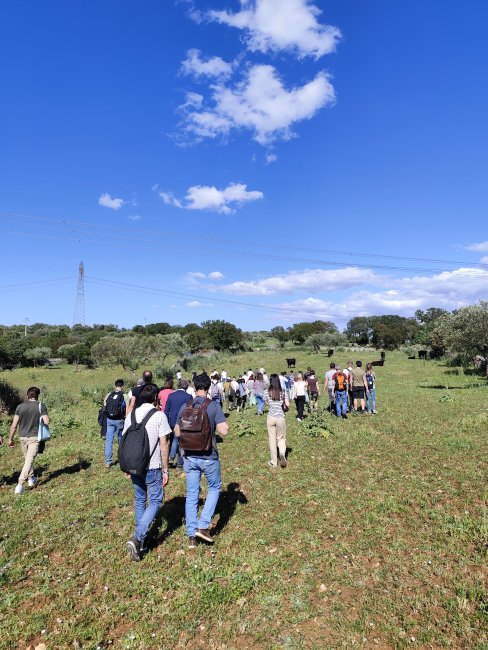 Connessioni Rurali 2026