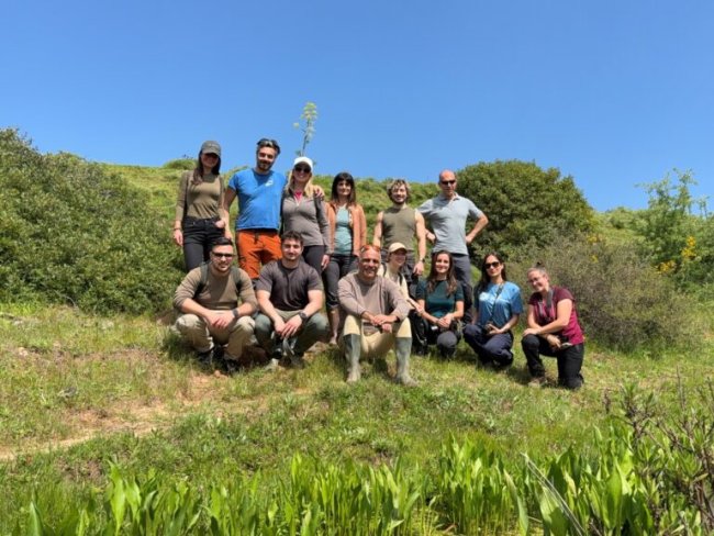 gruppo