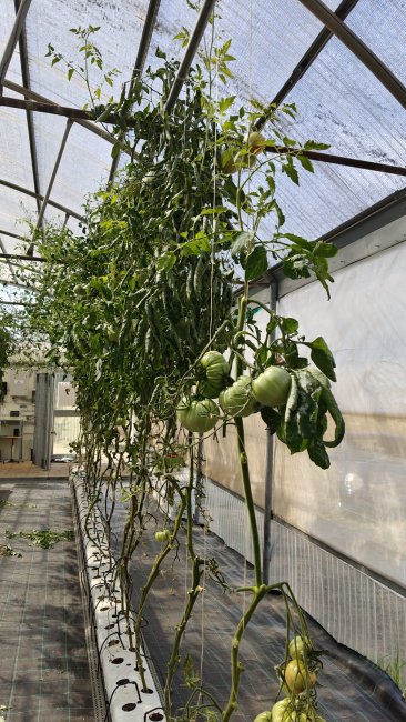 Azienda Agraria