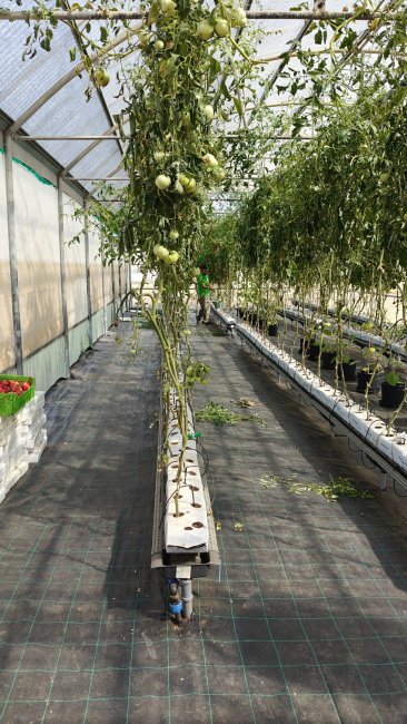 Azienda Agraria
