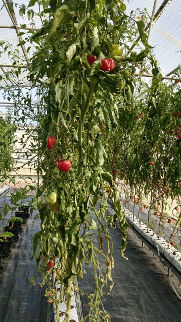 Azienda Agraria