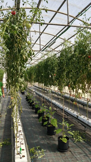 Azienda Agraria
