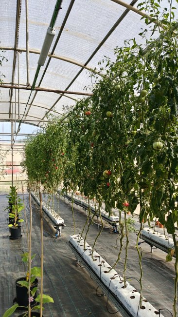 Azienda Agraria