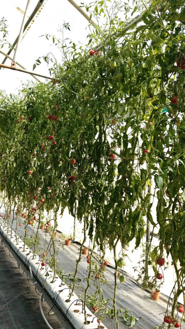 Azienda Agraria