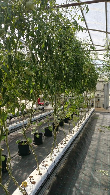 Azienda Agraria