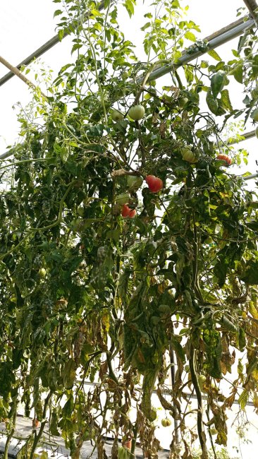 Azienda Agraria