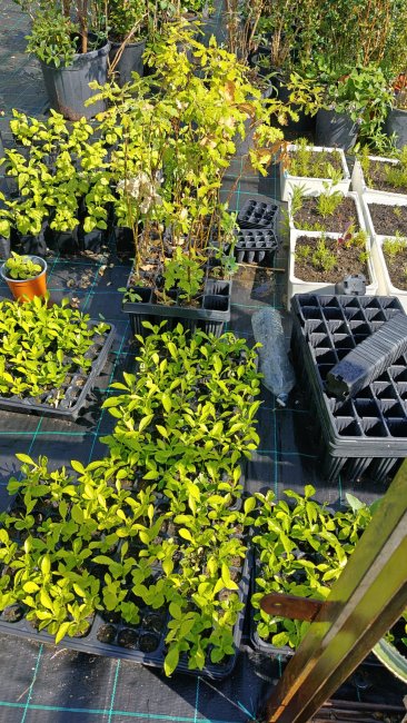 Azienda Agraria