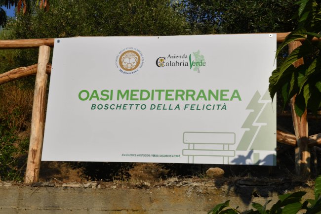 Ministro Bernini agosto 2026