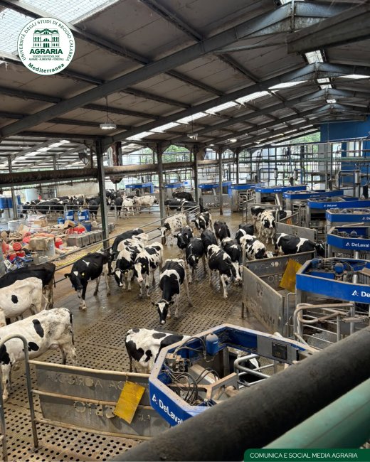 Azienda Agro-zootecnica Aceto