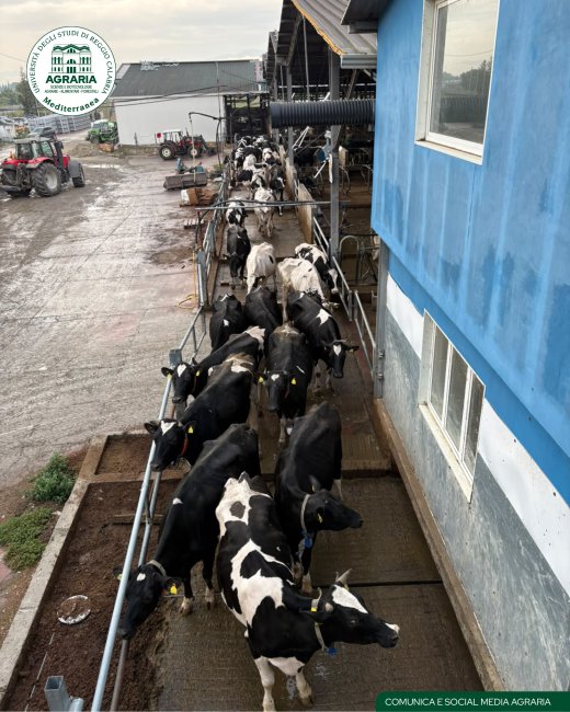 Azienda Agro-zootecnica Aceto