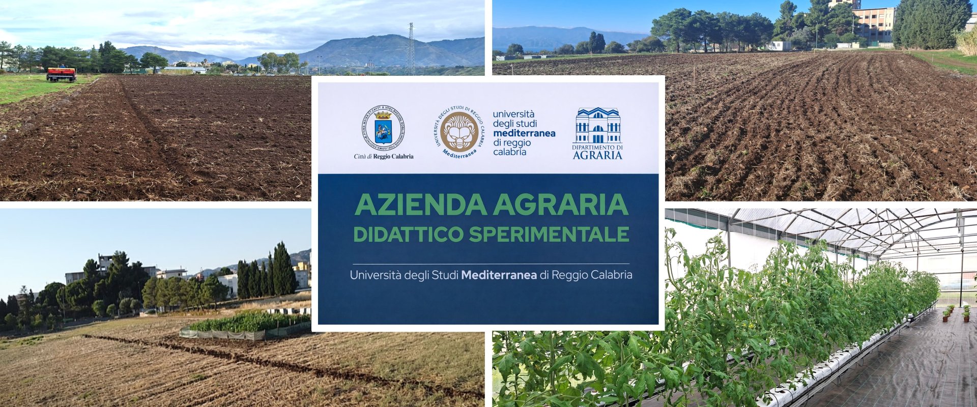 Azienda agraria