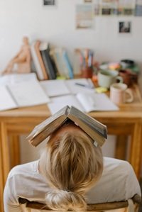 Studente