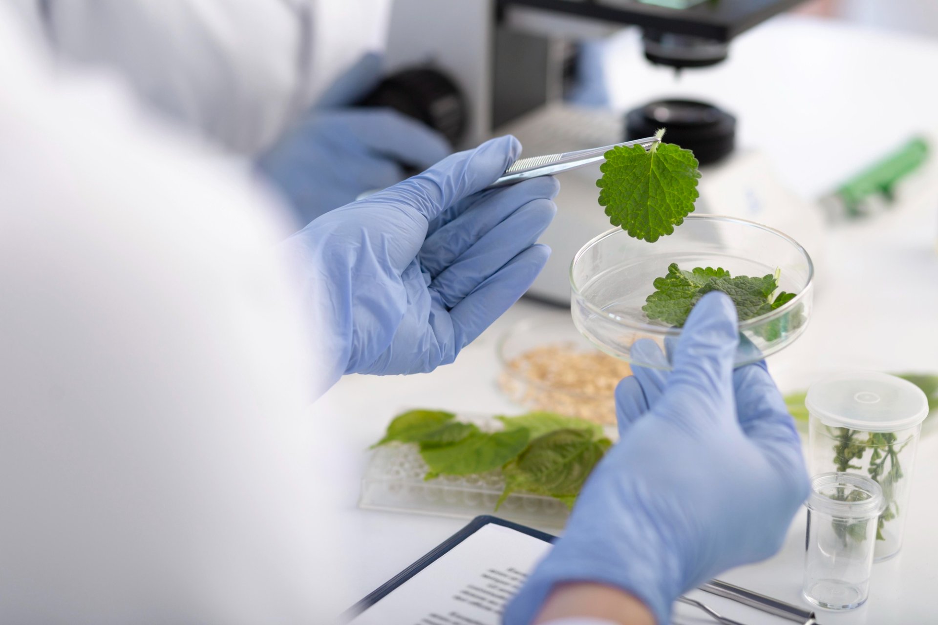 agraria biologia
