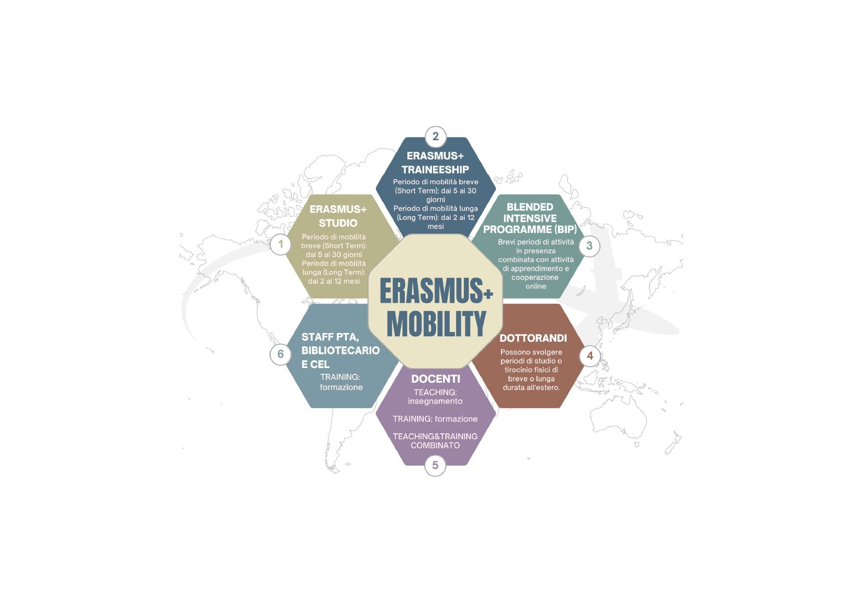 Panoramica Erasmus+