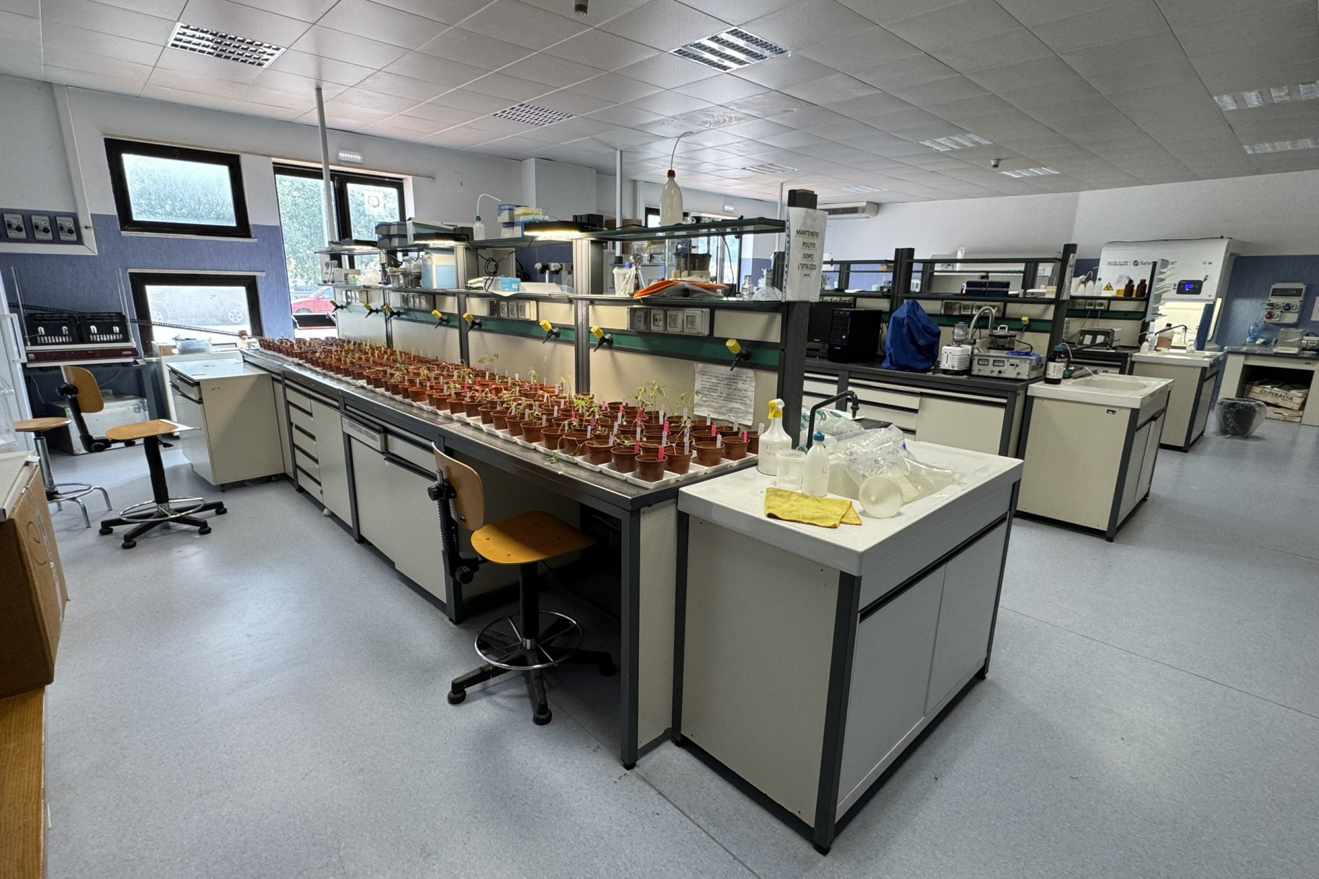 Agraria - laboratorio