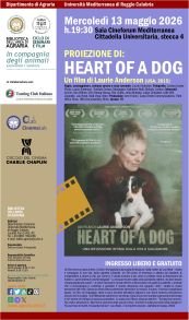 Locandina Heart of dog