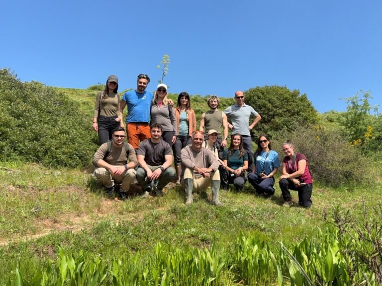 gruppo